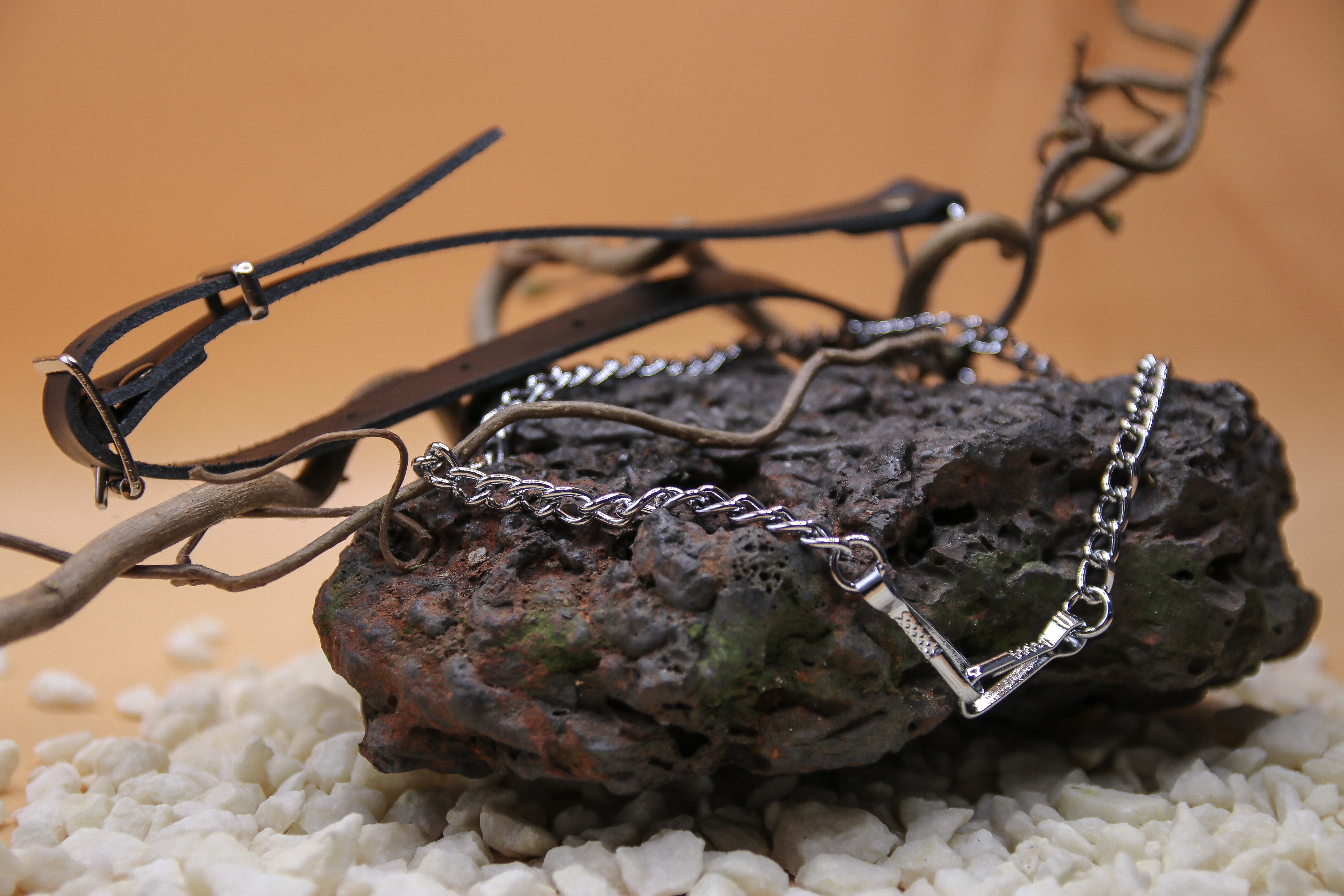 Sporrankette Standard Chain Chrome