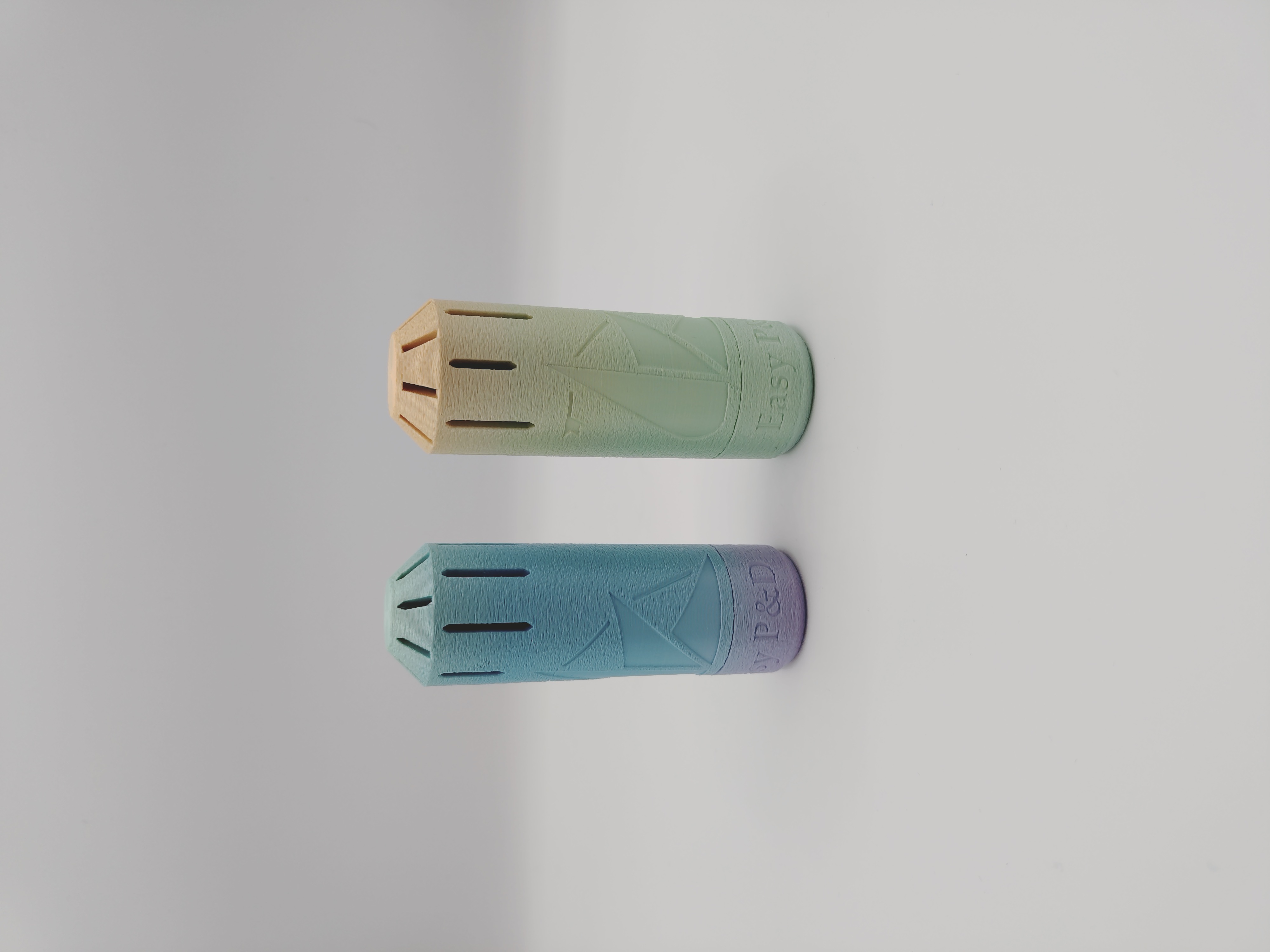 EasyChanterCap- Practice Chanter Reed Protektor