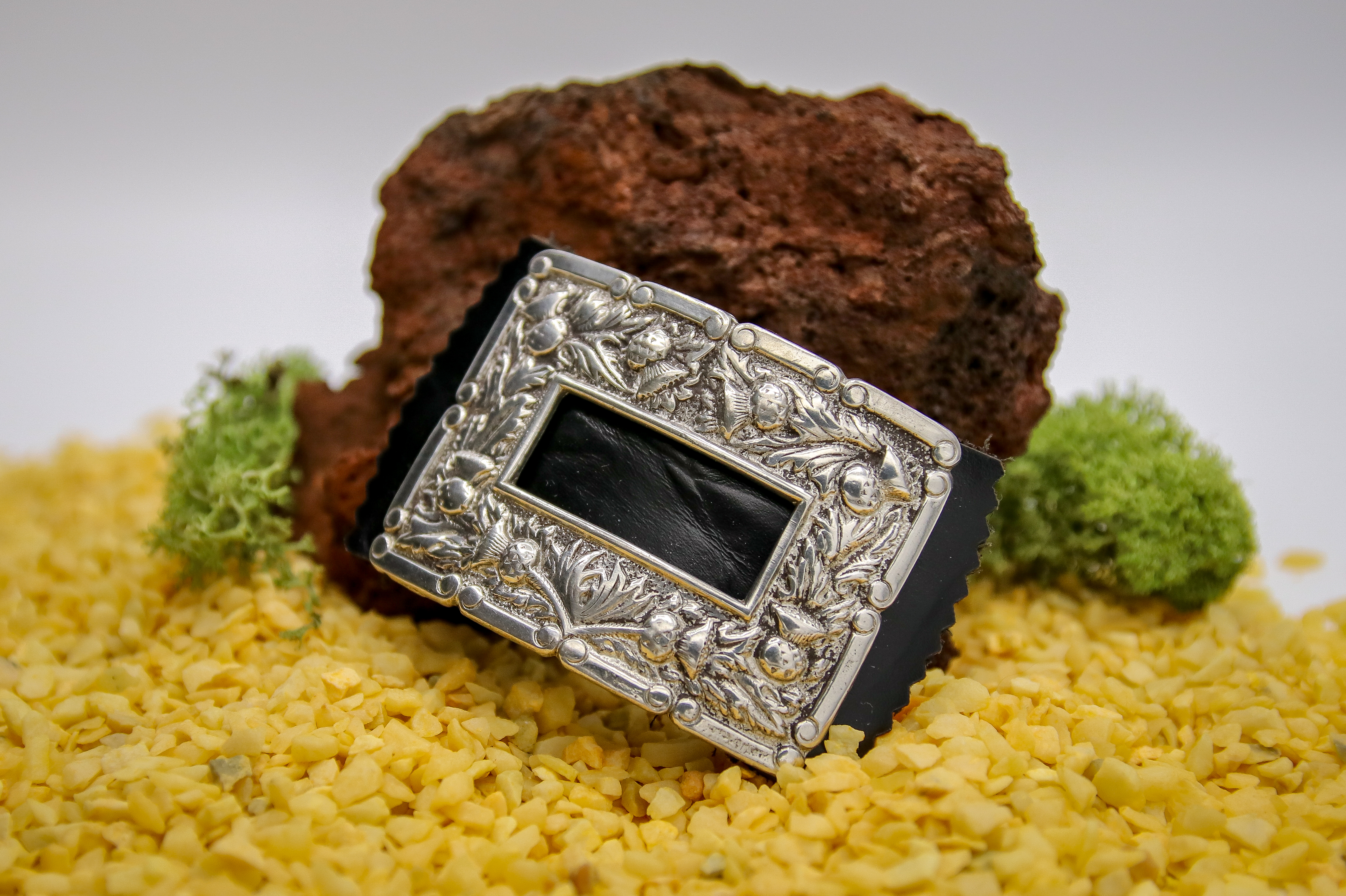 Shoe Buckle